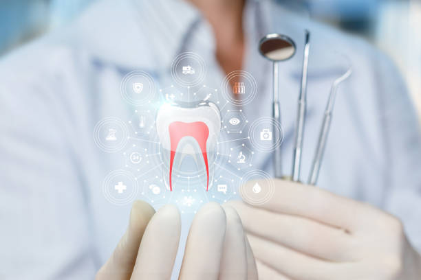 Best Traditional Braces  in Snoqualmie, WA